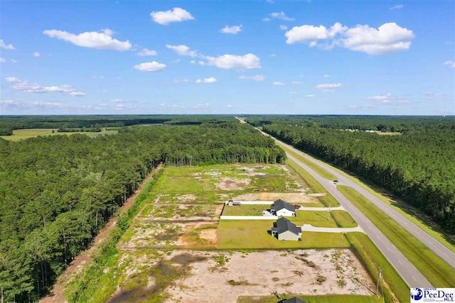 TBD Highway 9, Loris, SC 29569 - photo 4
