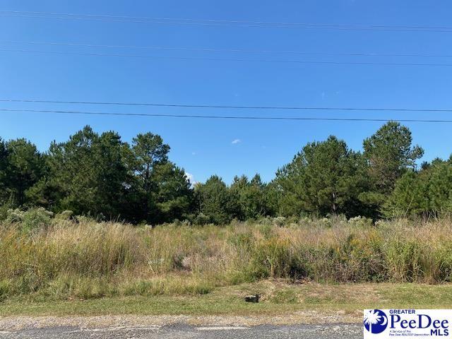 Listing photo 2 for 1447 Odom Rd, Bennettsville SC 29512