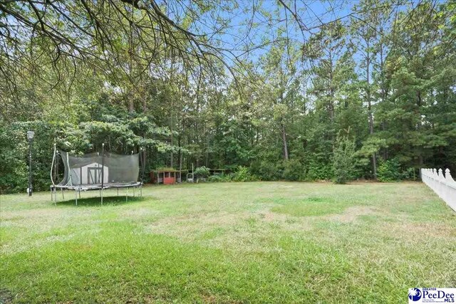 2653 Iseman Rd, Darlington, SC 29532 - photo 45