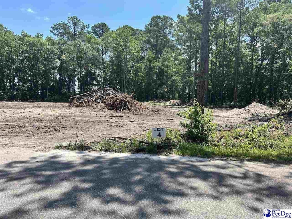 LOT4 Tremont Cir, Hartsville, SC 29550 - photo 4