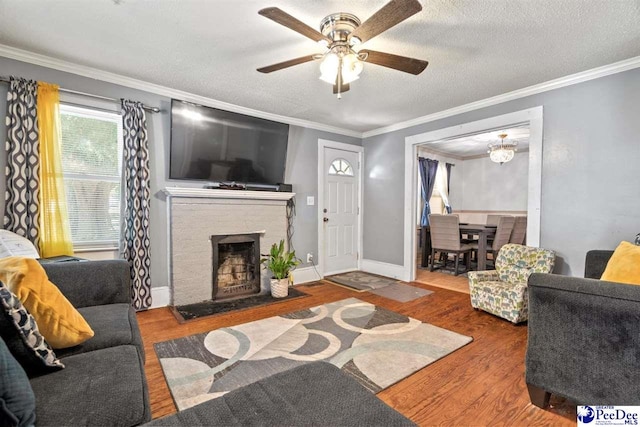 427 Marlboro Ave, Hartsville, SC 29550 - living room featuring hardwood / wood-style flooring, ornamental molding, ceiling fan, and a textured ceiling