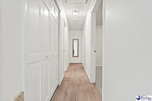 1041 Creekview Dr, Darlington, SC 29540 - hallway with light wood-type flooring, baseboards, and a textured ceiling