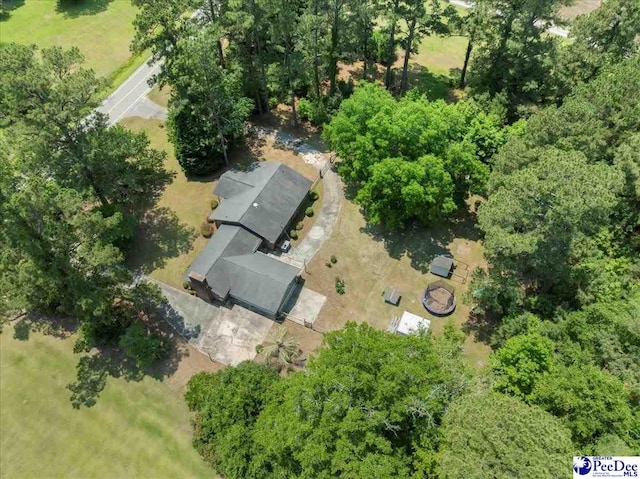 821 W Shirley Rd, Pamplico, SC 29583 - drone / aerial view