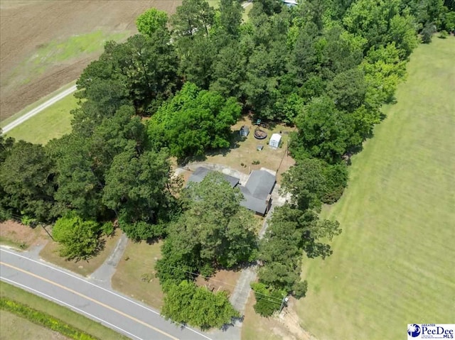 821 W Shirley Rd, Pamplico, SC 29583 - aerial overview of property's location