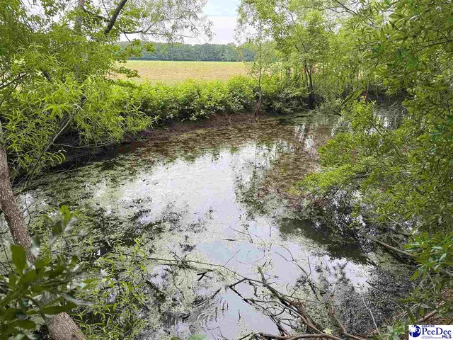 75ACRES N Old Georgetown Rd, Coward, SC 29530 - photo 26