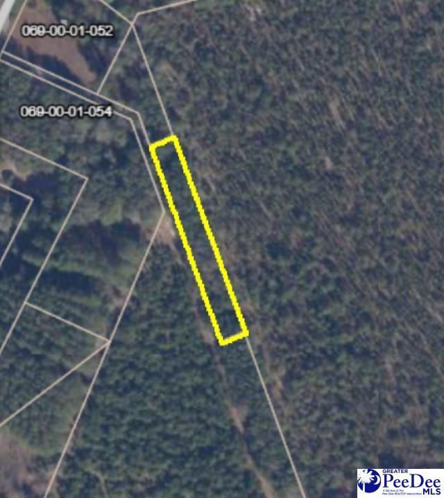 TBD Arcadia Rd, Blenheim SC, 29516 land for sale