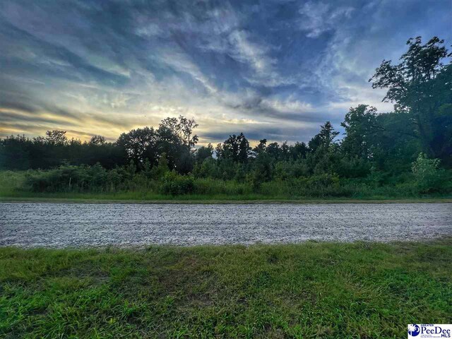 LOT14 S Mclaurin Lake Cir, Dillon SC, 29536 land for sale