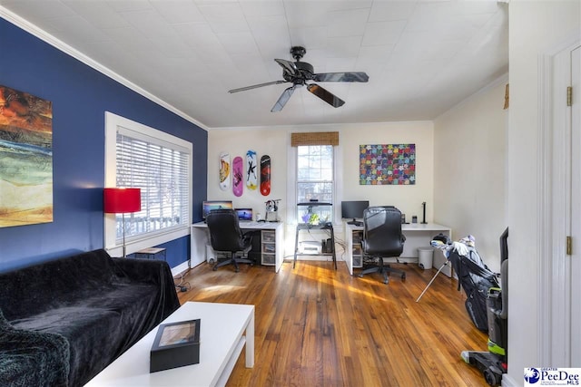 office space with ceiling fan, ornamental molding, and wood finished floors