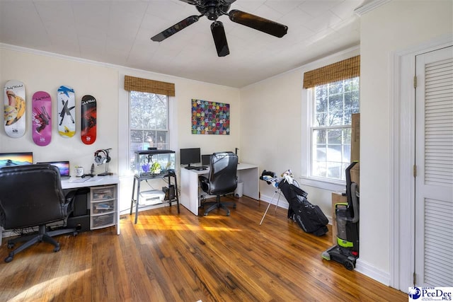 office space with a healthy amount of sunlight, wood-type flooring, and crown molding