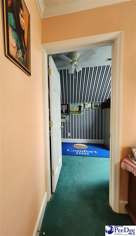 129 Golf Course Rd, Hartsville, SC 29550 - corridor featuring carpet floors, crown molding, and baseboards