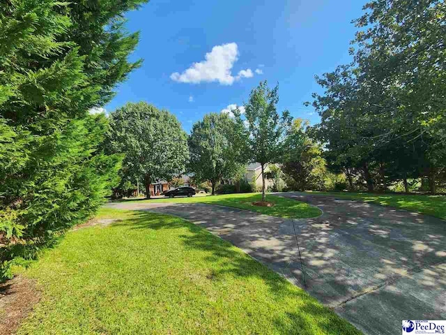 129 Golf Course Rd, Hartsville, SC 29550 - view of community featuring a lawn