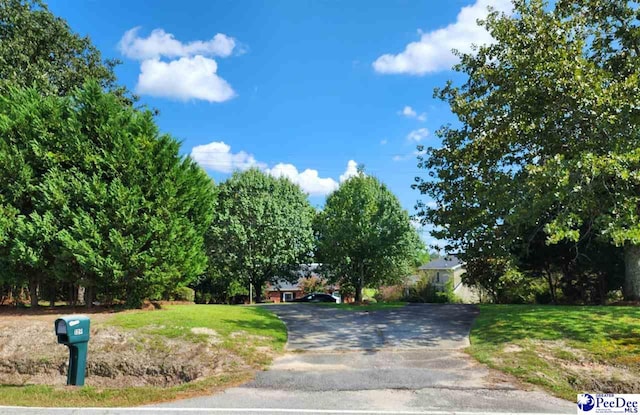 129 Golf Course Rd, Hartsville, SC 29550 - obstructed view of property featuring a front yard and asphalt driveway