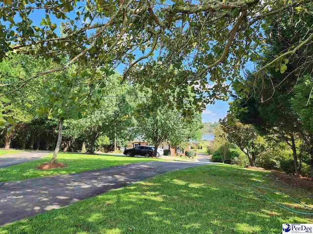 129 Golf Course Rd, Hartsville, SC 29550 - view of community with a yard