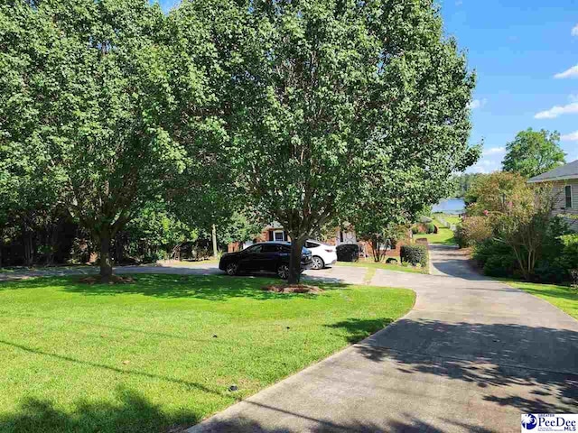 129 Golf Course Rd, Hartsville, SC 29550 - view of grassy yard with driveway