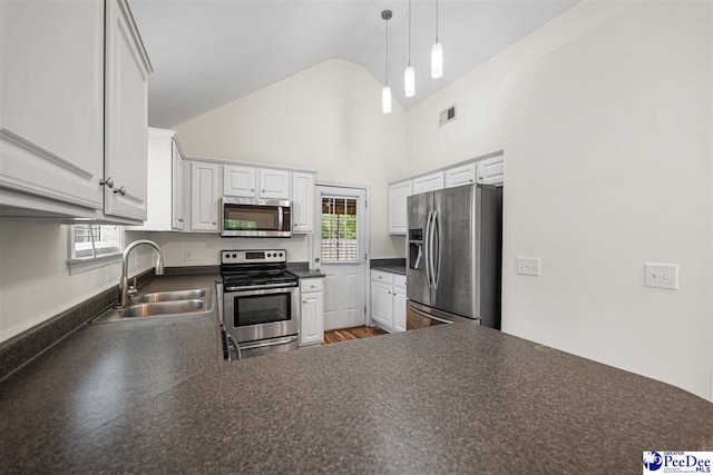 209 Equestrian Ct, Florence, SC 29505 - photo 7