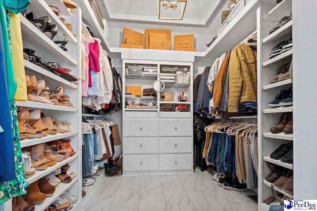 view of spacious closet