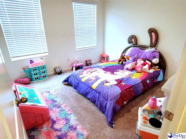 583 Polaris Way, Summerville, SC 29486 - bedroom with carpet floors and multiple windows