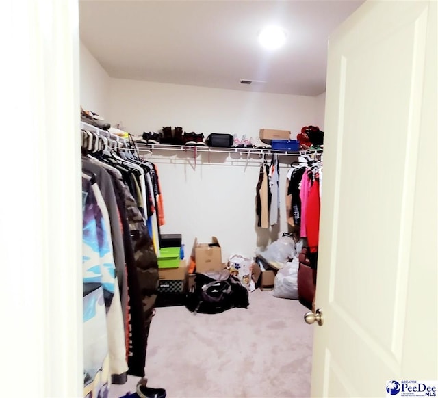 583 Polaris Way, Summerville, SC 29486 - spacious closet featuring carpet flooring