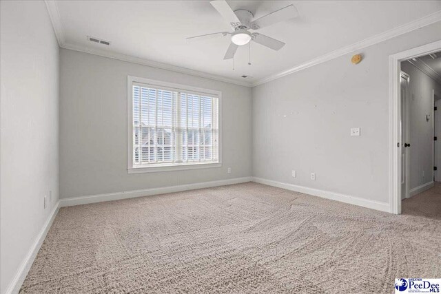 828 Merrill Hall, Florence, SC 29501 - photo 41