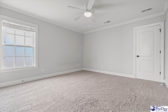 828 Merrill Hall, Florence, SC 29501 - photo 34