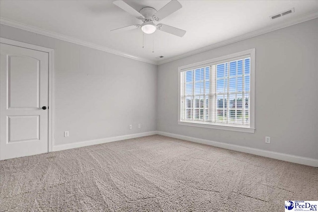 828 Merrill Hall, Florence, SC 29501 - photo 40