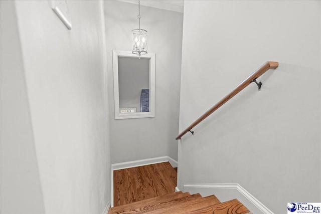 828 Merrill Hall, Florence, SC 29501 - photo 33