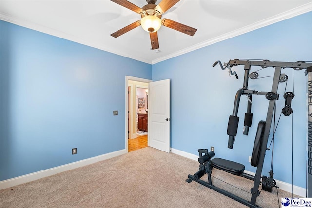 exercise room featuring ceiling fan, crown molding, and light colored carpet