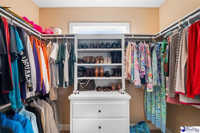 view of walk in closet