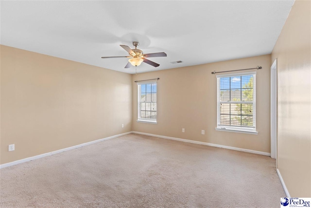 732 Jack Russell Ct, Elgin, SC 29046 - photo 19