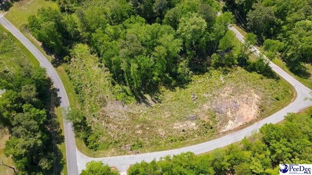 LOT5 Trotti Ave, Chesterfield, SC 29520
