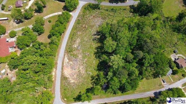 LOT5 Trotti Ave, Chesterfield, SC 29520