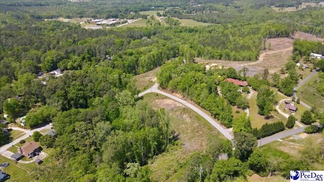 LOT5 Trotti Ave, Chesterfield, SC 29520