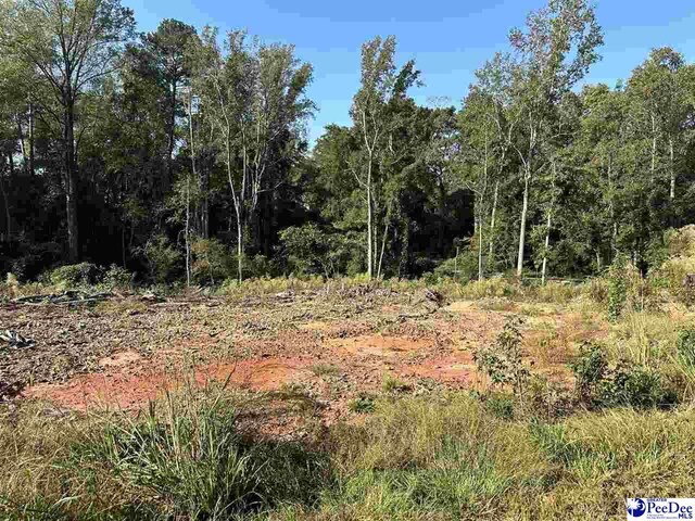 LOT5 Trotti Ave, Chesterfield, SC 29520