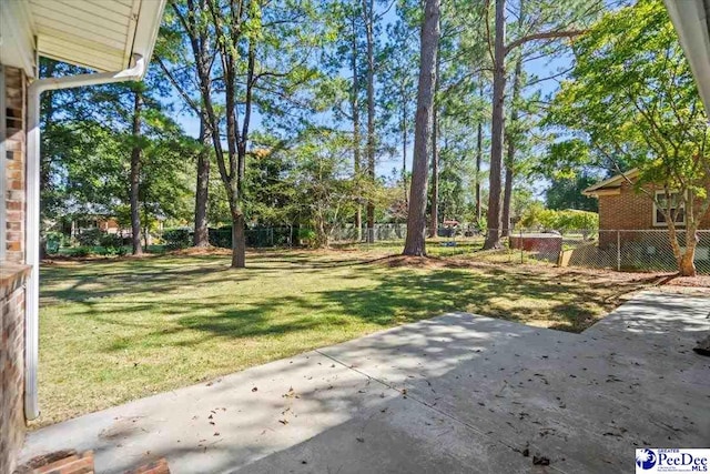 view of yard featuring a patio area