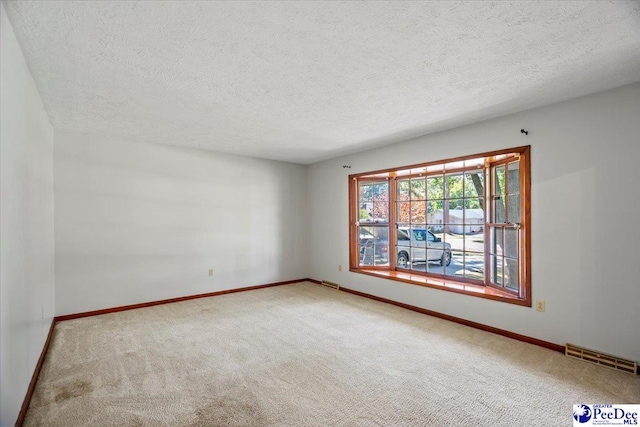 empty room featuring carpet floors and a textured ceiling