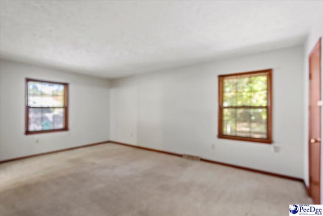 unfurnished room featuring light carpet