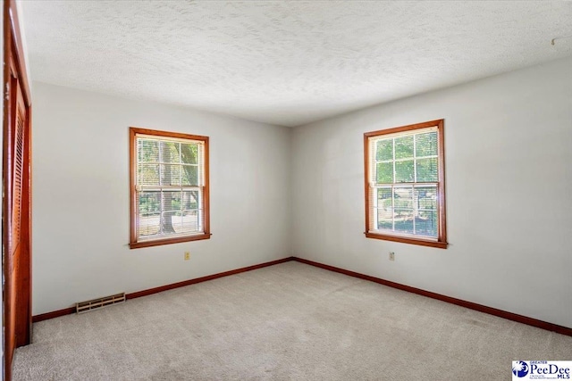 spare room with light colored carpet and a textured ceiling