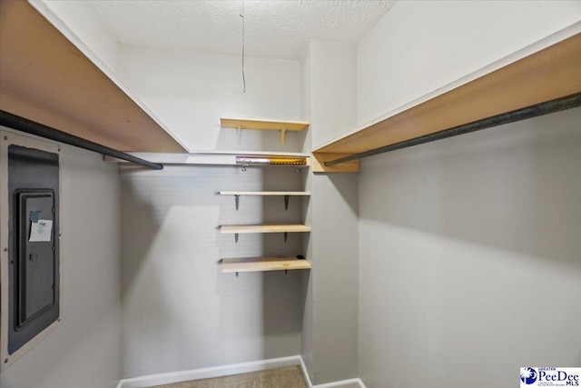 walk in closet featuring electric panel and carpet