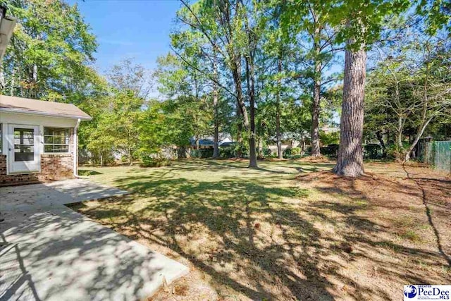 view of yard featuring a patio area