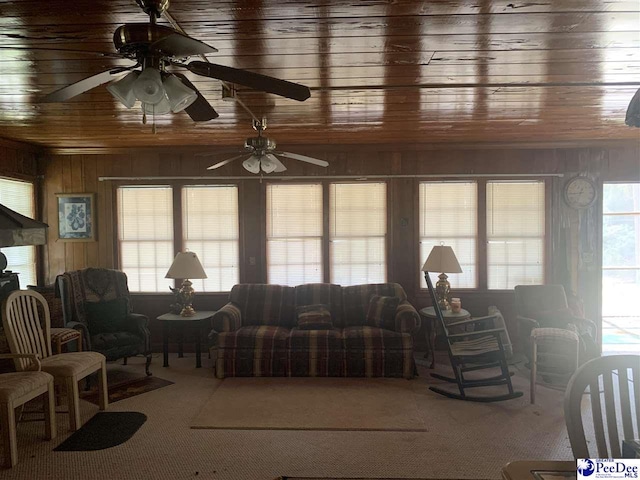 carpeted living room with wooden ceiling and wooden walls