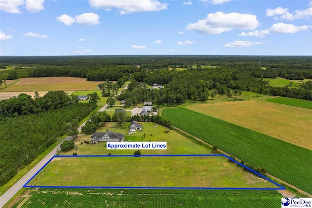 TBD Bud Graham Rd, Galivants Ferry, SC 29544 - photo 10