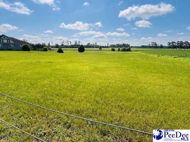 TBD Bud Graham Rd, Galivants Ferry, SC 29544 - photo 12