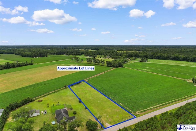 TBD Bud Graham Rd, Galivants Ferry, SC 29544 - photo 5