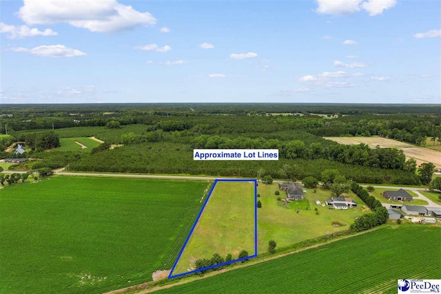 TBD Bud Graham Rd, Galivants Ferry, SC 29544 - photo 8