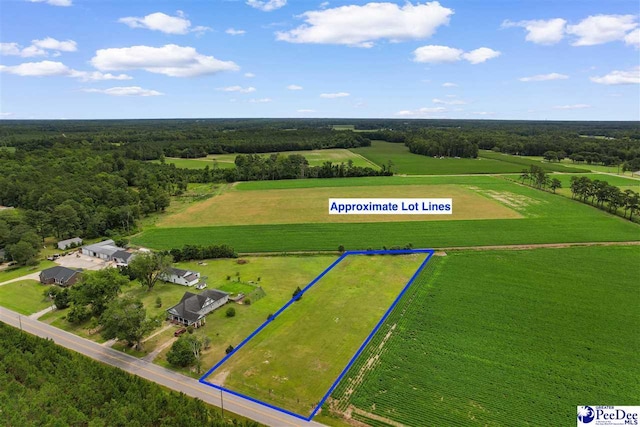 TBD Bud Graham Rd, Galivants Ferry, SC 29544 - photo 3