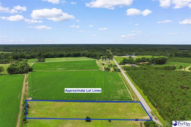 TBD Bud Graham Rd, Galivants Ferry, SC 29544 - photo 6