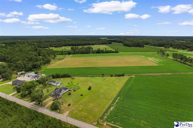 TBD Bud Graham Rd, Galivants Ferry, SC 29544 - photo 2