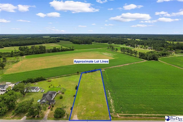 TBD Bud Graham Rd, Galivants Ferry, SC 29544 - photo 4