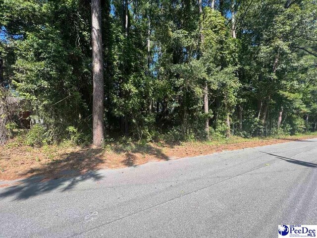 3309 E Huntington Dr, Florence, SC 29506 - photo 3