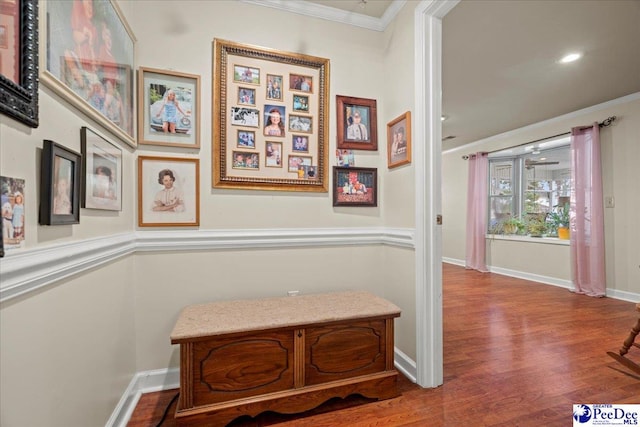 hall featuring hardwood / wood-style floors and ornamental molding